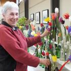 Club member Christine Hardisty admires the line-up of tulips. PHOTO: GILLIAN VINE