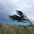 Strong winds are forecast across the South this afternoon and evening. Photo: Getty Images