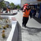 Paikea Haua-Batlett clears road cones from George St as it is prepared for opening. PHOTO:...