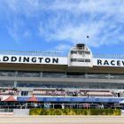 A horse has been scratched from race 7 at Addington Raceway. Photo: File image