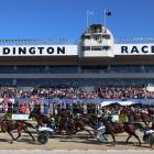 Copy That, driven by Blair Orange, makes it back-to-back New Zealand Cups with his win at...