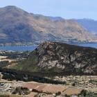 The Queenstown Lakes District Council has bought nearly 100ha of land surrounding Wanaka’s Mt...