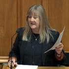 Invercargill National MP Penny Simmonds grills Deputy Prime Minister Grant Robertson over Te...