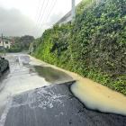 Water runs down Shandon Rd after a water main burst on Wednesday night, the second failure in...