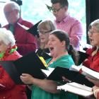 The Dunedin City Choir performed Christmas carols at Otago Museum yesterday to the delight of...