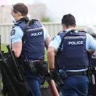 Family harm and mental health callouts occupy the bulk of police resources, Inspector Peter...