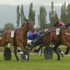 Junior driver Sarah O’Reilly gets trotter Kohli Trouble (No9) up to win race 3 at the Forbury...