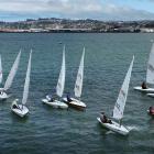 Lasers in the South Island championships make a start on Otago Harbour on Sunday. PHOTO: STEPHEN...