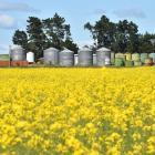 Primary sector exports are tracking strongly towards a 4% increase in the year ending June 2023....