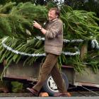 Oxfam Aotearoa volunteer John Cocks carries a fresh Christmas tree in Opoho Rd, Dunedin, on...