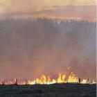 Stubble fire . . . Landowners are urged to help stop unnecessary call outs for FENZ. PHOTO: SUPPLIED