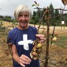 Albert Town Community Association chairwoman Heather Thorne inspects community orchard trees...