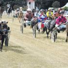 Kidzcarts . . . The field returns to the marshalling at a previous event. PHOTO: FILE
