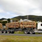 PHOTO: ODT FILES