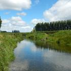 The Shag River was clear with a good flow when i managed to reel in a 2kg brown trout (below)....