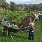 Polly Cooke (18 months) looks set to give a helping hand at North East Valley community garden....