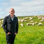Southern sheep and beef farmer Andrew Morrison has been dumped from the board of Beef + Lamb New...