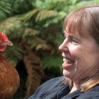 A pet chicken inspired Angela Pope’s play, which is having its premiere at the Dunedin Fringe...