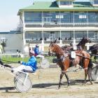 Harness racing at Ascot Park Raceway in Invercargill. PHOTO: ODT FILES