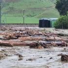 Woody debris, including slash, caused damage to infrastructure following the Cyclone Gabrielle...