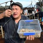 Bluff oyster man Keith Lovett (74) tucks into one of the first oysters of the season after...