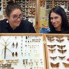 Tuhura Otago Museum Natural Science curator Emma Burns (left) alongside associate curator Allison...