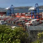 CP Nanjing (top left) approaches Port Chalmers as Rio Madeira is worked on yesterday. PHOTO:...