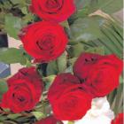 Milestone . . . Oxford Garden Club members will gather to celebrate their 70th Jubilee on March 9...