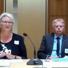 The Southern District Health Board at the health select committee, (from left) Te Whatu Ora...