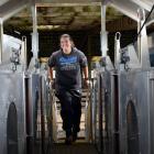 Wharetoa Genetics shepherd Tia Bissett enters a portable accumulation chamber trailer on the...