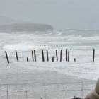 The last of the 1921 double-row groynes as they stood at St Clair this week, with the sea lion...