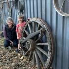 Alexandra woman Anita McLaren and grandson Scott McAuley (6) in her "backyard haven", which is...