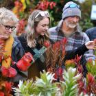 Checking out the plants at Blueskin Nurseries & Cafe yesterday are (from left) Janene Oliver, of...