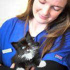 Vet nurse Brenna Gould holds Phoenix who was found in a suitcase on the side of the road along...
