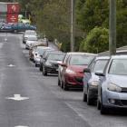 Six of the 21 cars parked in one short section of Gladstone Rd in North Dunedin yesterday morning...