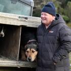 Warepa Collie Club life-member Alister Ward, accompanied by Brown, one of his dogs, is helping...
