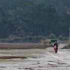 Dirt bike riders go for a spin in a restricted area near Aramoana that is home to banded...