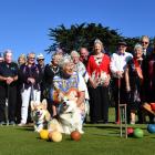 Members of the Tainui Croquet Club look on as Trish Enright, of Mosgiel, hits a croquet ball on...