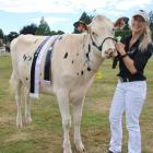 Kate Cummings, of Wyndham, holding heifer Maylea Moovin Eko after winning the South Island...