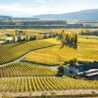 Felton Road Winery. PHOTO: ALLIED PRESS FILES