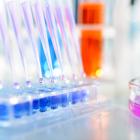 Experiments and knowledge. PHOTO: GETTY IMAGES
