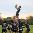 Marist Albion lock Caleb Grace wins a lineout in his side’s 40-20 victory over Sumner. Photo:...