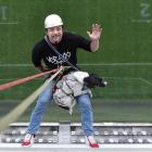 Liam Mccall with his Dog Quake abseil from the roof of Forsyth Barr Stadium to raise funds for...