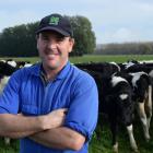 Kemra Farms co-owner Brendan Morrison and his calves, which won a section of the Tokomairiro,...