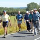 Members of the Mosgiel mens probus walking group stride along Gladfield road in 2014. Photo: ODT.
