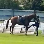 Rebecca Smithey was lambasted on social media for her treatment of the horse "Solly". PHOTO:...