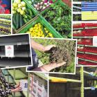 Many challenges have faced New Zealand’s food system in recent years leading to empty supermarket...