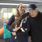 SPCA worker Gemma Mitchell and Mike Beath play with Moose the puppy in the new SPCA puppy pen....