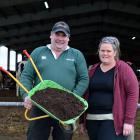 Dairy farmers Niels Modde and Jodie Templeman hold a sample of compost taken from their barn in...