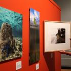 Tūhura Otago Museum marketing co-ordinator Charlie Buchan makes an adjustment to one of the...